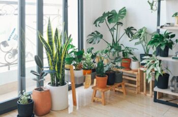 One-Week Budget-Friendly Home Makeover Projects